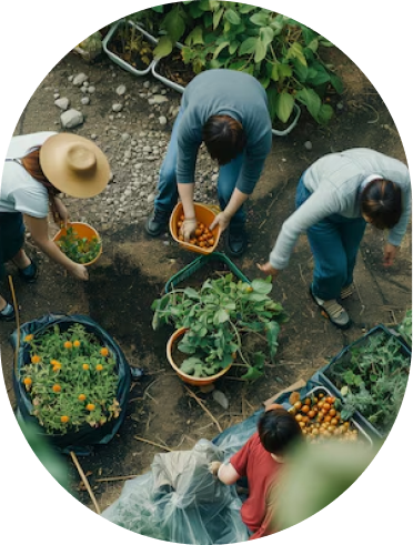 Horticulture Nursery & Garden center