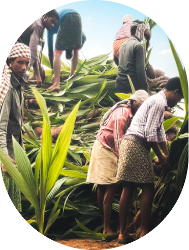 Horticulture Nursery & Garden center