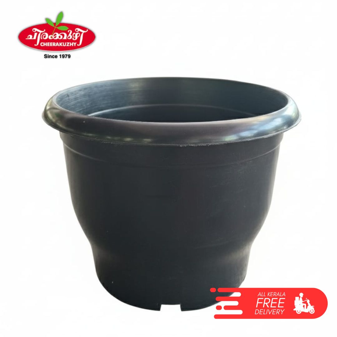 8 Inch Pot Black