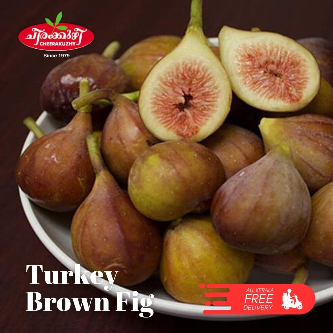 Fig - Brown Turkey (layer)