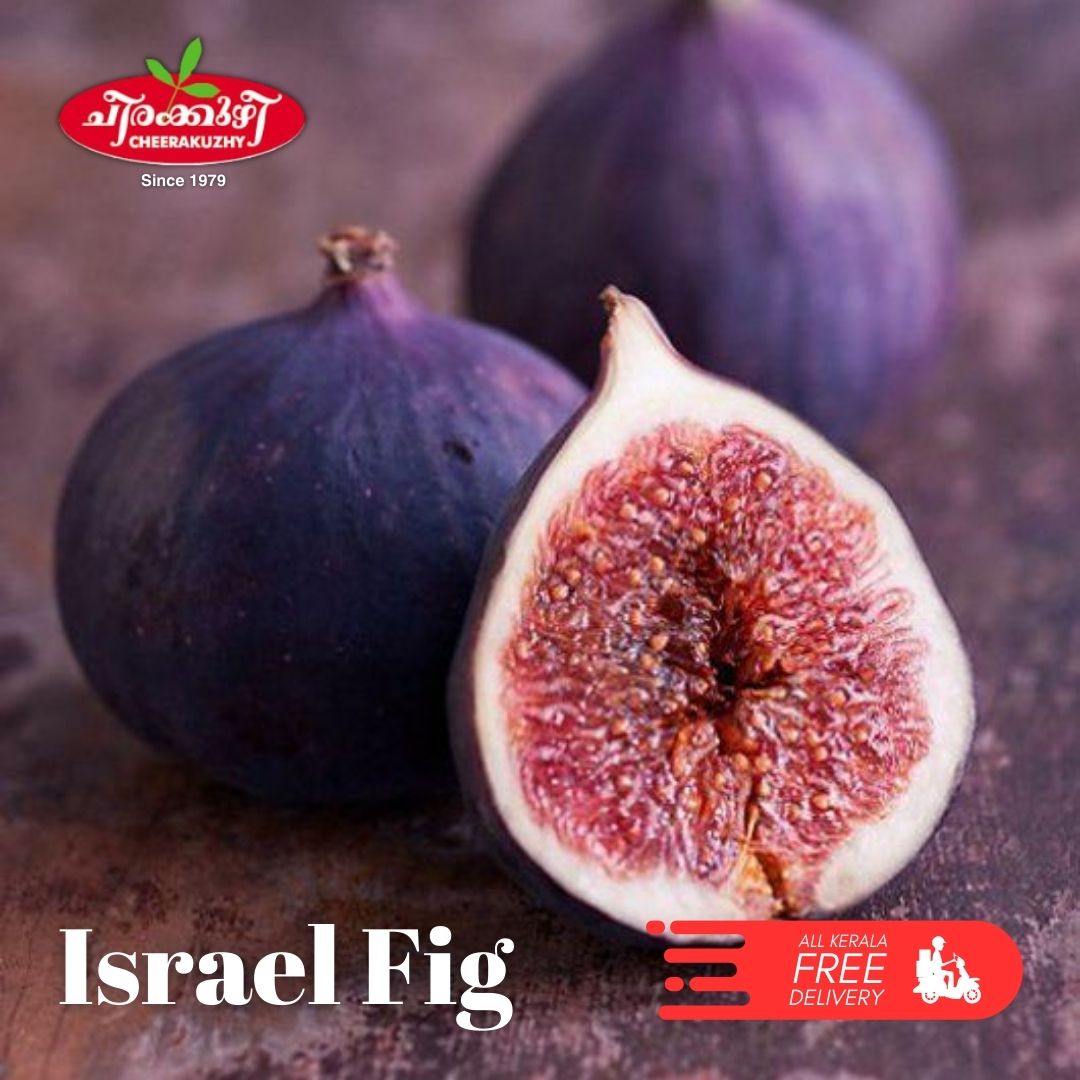 Fig - Israel (layer)